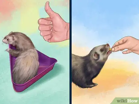 Image titled Litter Train Your Ferret Step 7