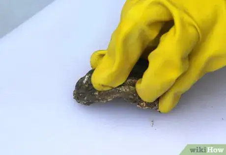 Image titled Fry Oysters Step 9