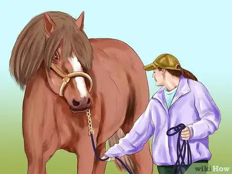 Image titled Care for a Draft Horse Step 6