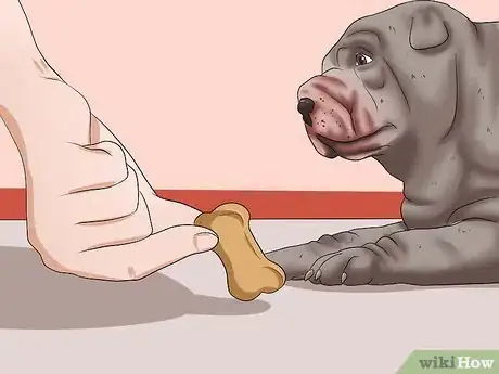 Image titled Teach Your Puppy to Lie Down Step 6