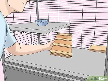 Image titled Manage Broken Bones in Chinchillas Step 11