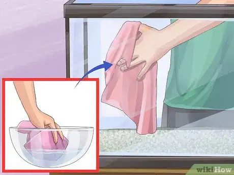 Image titled Start a Saltwater Aquarium Step 15