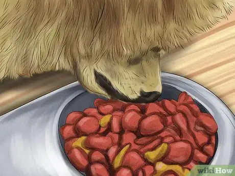 Image titled Care for an Australian Terrier Step 6