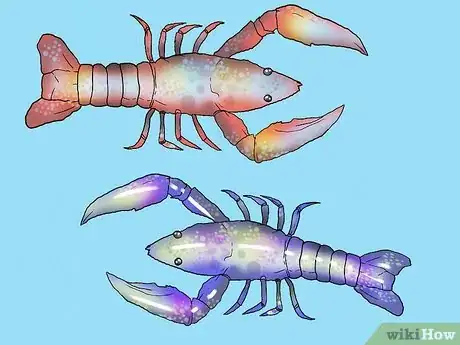 Image titled Set Up a Freshwater Crayfish Farm Step 13