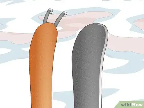 Image titled Buy Skins for Skis Step 1