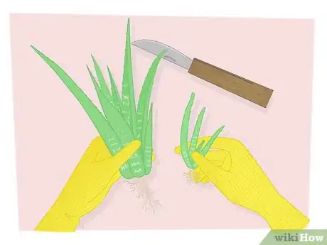 Image titled Propagate Your Plants Step 3