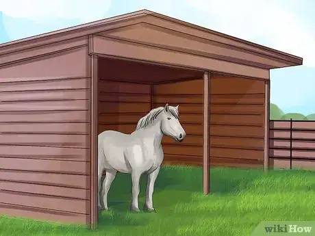 Image titled Care for a Draft Horse Step 2