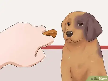 Image titled Teach Your Puppy to Lie Down Step 5