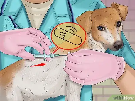 Image titled Prepare a Dog for Air Travel Step 7
