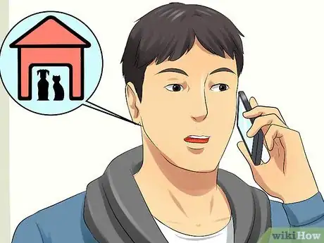 Image titled Decide Whether to Move a Pet Overseas Step 13