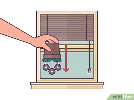 Image titled Repot African Violets Step 8