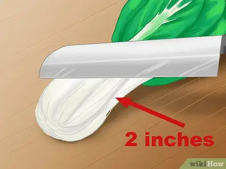 Image titled Regrow Bok Choy Step 2