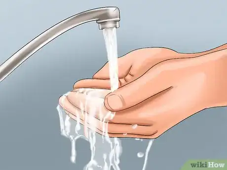 Image titled Avoid Getting Bitten by a Black Widow Step 10