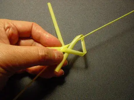 Image titled Shachi22_558.JPG