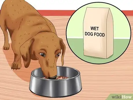 Image titled Cure Frequent Dog Vomiting Step 11