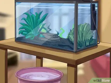 Image titled Start a Saltwater Aquarium Step 29