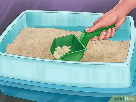 Image titled Litter Train Your Ferret Step 8