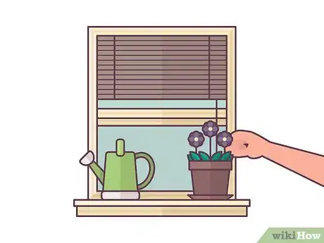 Image titled Repot African Violets Step 7