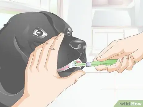 Image titled Choose Tartar Control Dog Treats Step 5