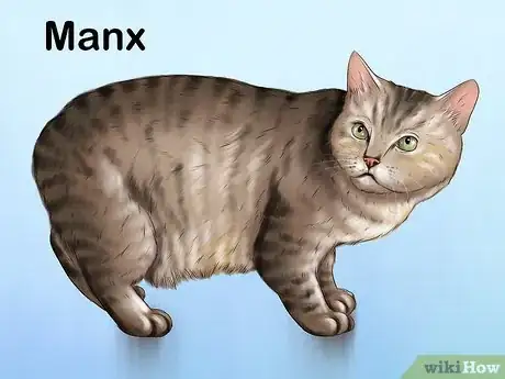 Image titled Choose a Kid Friendly Cat Step 17