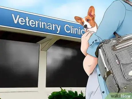 Image titled Protect Pets from Lead Poisoning Step 3