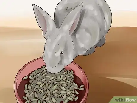 Image titled Choose Rabbit Food Step 4