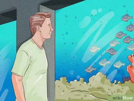 Image titled Visit Milford Sound Step 20