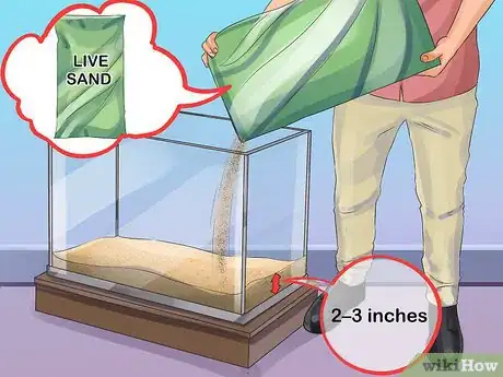 Image titled Start a Saltwater Aquarium Step 16