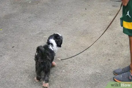 Image titled Housebreak Your Dog Using Crate Training Step 11