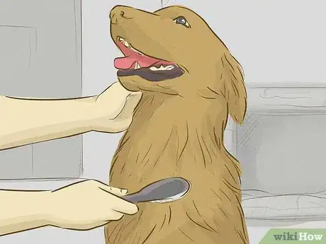 Image titled Be an Animal Lover Step 11
