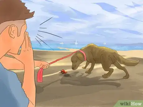 Image titled 105650 17