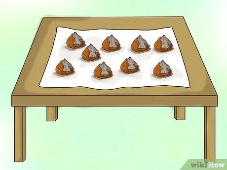 Image titled Grow Gladiolus Step 18