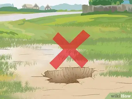 Image titled Care for a Blind Horse Step 5