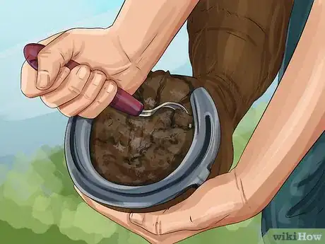 Image titled Clean a Horse's Hoof Step 9