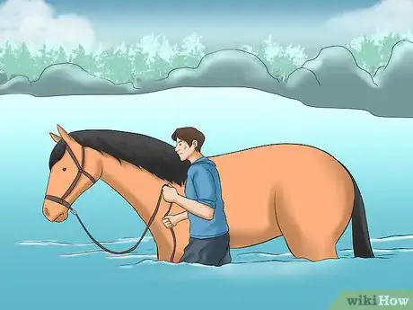Image titled Train a Horse to Walk Through Water Step 8