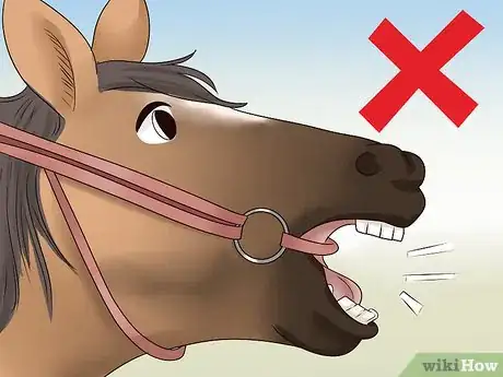 Image titled Care for a Gaited Horse Step 2