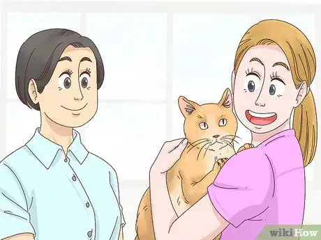 Image titled Countercondition a Cat Step 4