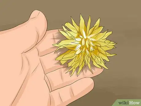 Image titled Fertilize Daffodils Step 11