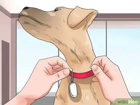 Image titled Become Your Dogs' Playmate Step 4