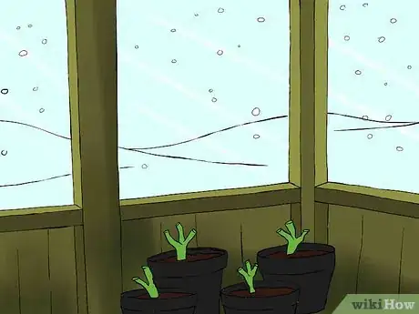 Image titled Overwinter Dahlias Step 1