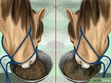 Image titled Feed Sugar Beet to a Horse Step 3
