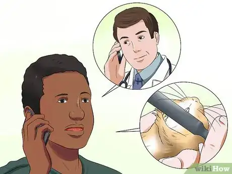 Image titled Treat Dental Problems in Gerbils Step 6