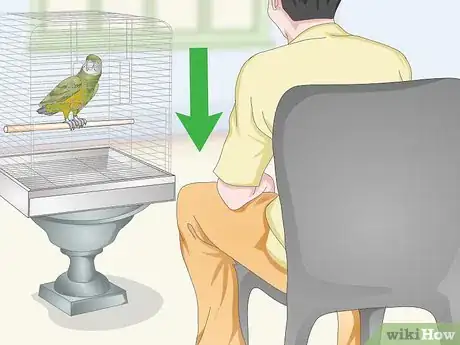 Image titled Deal with a Fearful or Stressed Senegal Parrot Step 15