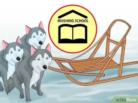 Image titled Get Started Dog Mushing Step 4