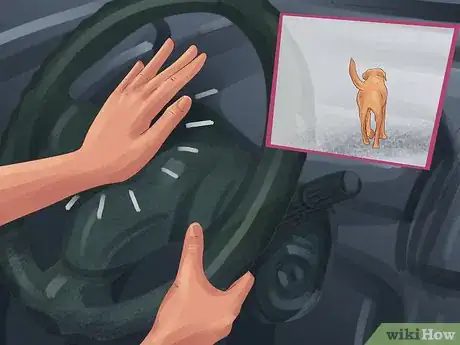 Image titled Get a Dog Out of a Busy Road Step 7
