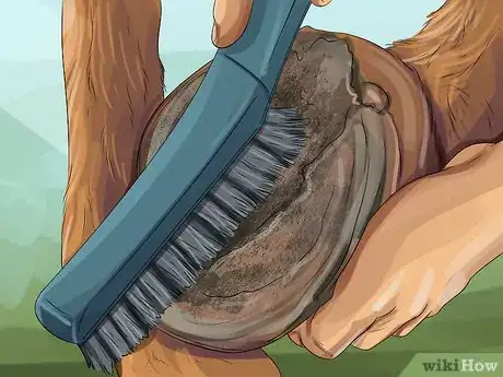 Image titled Clean a Horse's Hoof Step 8