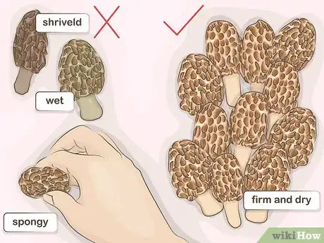 Image titled Cook with Morels Step 1