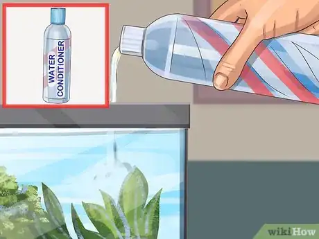 Image titled Start a Saltwater Aquarium Step 20