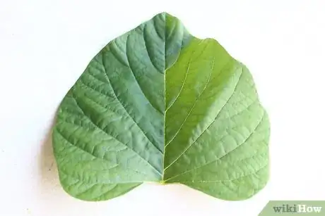 Image titled Make Stepping Stones Step 14