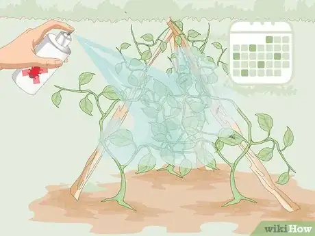 Image titled Kill Thrips Step 4